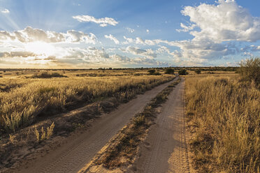 Afrika, Botsuana, Kgalagadi Transfrontier Park, Mabuasehube Game Reserve, Sandpiste bei Sonnenaufgang - FOF10206