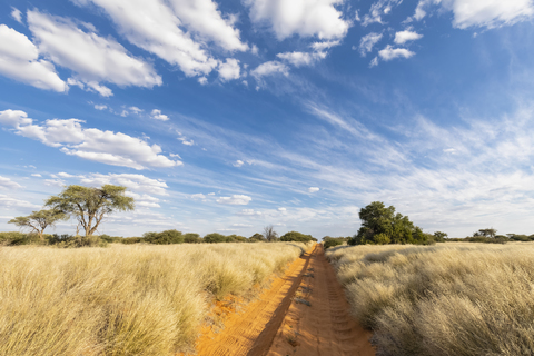 Afrika, Botsuana, Kgalagadi Transfrontier Park, Mabuasehube Game Reserve, leere Sandpiste, lizenzfreies Stockfoto