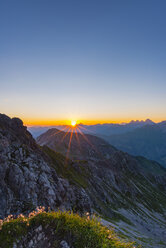 Germany, Bavaria, Allgaeu, Allgaeu Alps, Alpine pasque flower at sunrise - WGF01231
