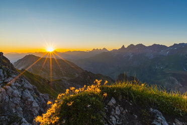 Germany, Bavaria, Allgaeu, Allgaeu Alps, Alpine pasque flower at sunrise - WGF01233