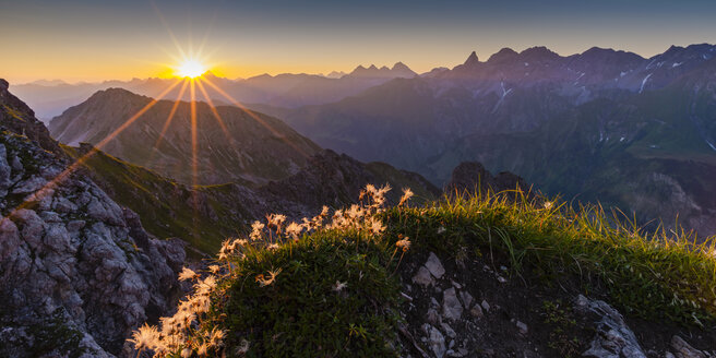 Deutschland, Bayern, Allgäu, Allgäuer Alpen, Alpenkärpfling bei Sonnenaufgang - WGF01234