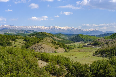 Albanien, Qark Korca, im Hintergrund das Pindos-Gebirge - SIEF07939
