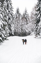 Italien, Modena, Cimone, Rückansicht eines Paares mit Skifahrern und Snowboard im Winterwald - JPIF00007