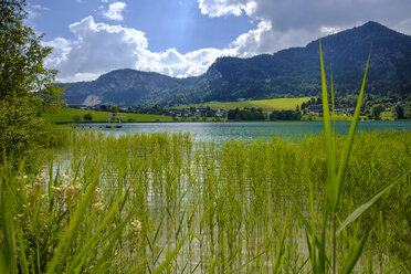 ustria, Tirol, Vorderthiersee, Blick auf den Thiersee - LBF02020