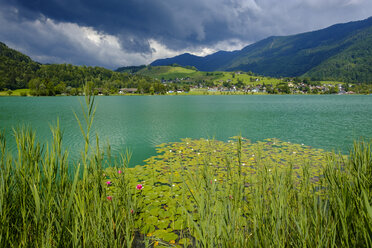 ustria, Tyrol, Vorderthiersee, View of Thiersee Lake - LBF02023