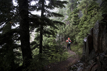 A hiker wearing an orange jacket, walks along a trail beneath a dark forest. - AURF01963