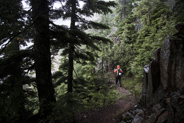 Ein Wanderer in einer orangefarbenen Jacke geht einen Pfad entlang, der durch einen dunklen Wald führt. - AURF01963