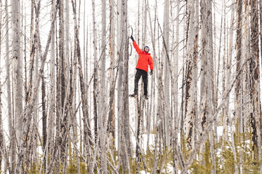 Ein Mann klettert mit Eisklettergeräten auf einen toten Baum in einem Wald, British Columbia, Kanada. - AURF02045