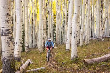 Eine Frau fährt mit dem Mountainbike durch einen gelben Espenwald in der Herbstzeit. - AURF02111