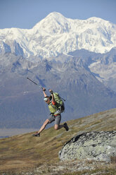 Rucksacktourist wandert auf dem Kesugi Ridge Trail im Denali State Park, Alaska. - AURF02151