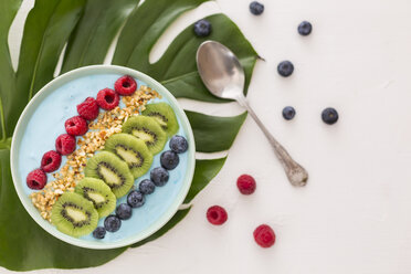 Smoothie-Bowl mit Heidelbeeren, Himbeeren, Kiwi und gehackten Haselnüssen - JUNF01102