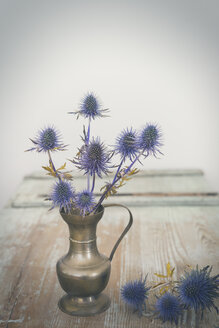 Blaue Disteln in einer Vase - JUNF01107