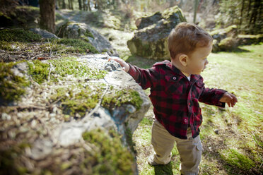 Young boy exploring nature - AURF02179