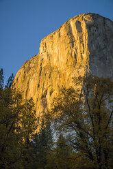 Yosemite-Nationalpark - AURF02188