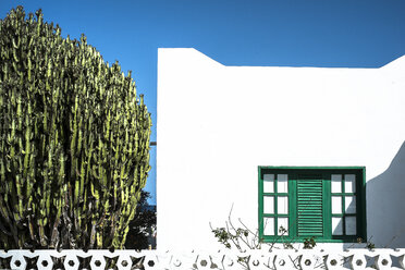 Traditional house with white walls, green windows and a huge cactus beside - AURF02267