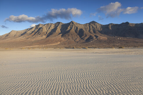 Der einsame Sandstrand von Cofete, Fuerteventura, Kanarische Inseln - AURF02280