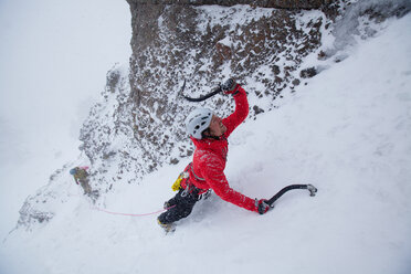 Red Cliff Ice Climbing - AURF02306