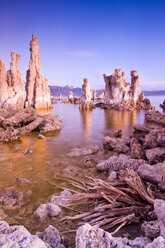 Frühes Morgenlicht auf Tuffsteintürmen, Mono Lake, Kalifornien - AURF02349