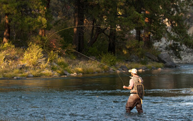 Fly fishing in the Truckee River, California - AURF02366