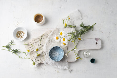 Chamomile flowers, globules, tea and salve made of chamomile - MYF02055