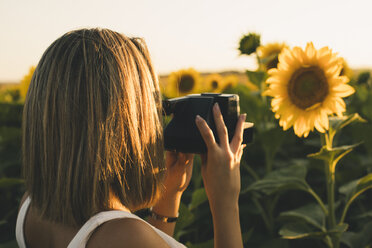 Rear view of woman in a field taking a picture of a sunflower with an instant camera - ACPF00307