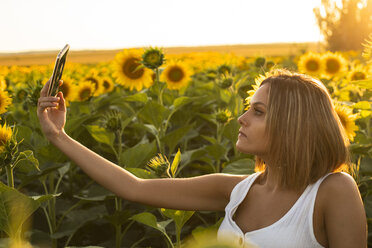 Junge Frau in einem Sonnenblumenfeld macht ein Selfie - ACPF00308