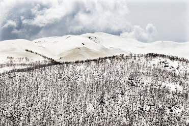 Georgia, Ushguli, Greater Caucasus covered in snow - WWF04345