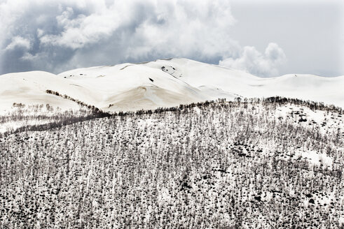 Georgien, Ushguli, Großer Kaukasus mit Schnee bedeckt - WWF04345