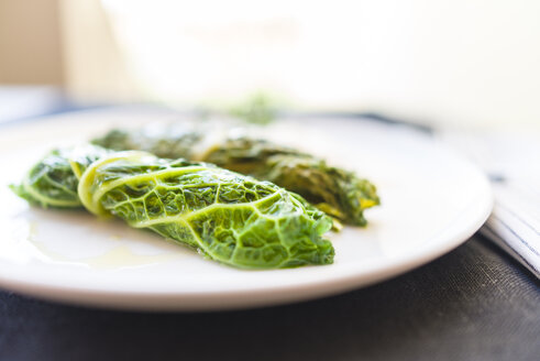 Savoy cabbage rolls on plate - RAMAF00007