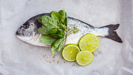 Sea bream with fresh herbs and lime slices - RAMAF00010