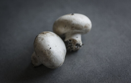 Two white champignons on grey ground - RAMAF00016