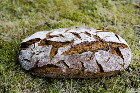 Loaf of brown bread on grass - RAMAF00026