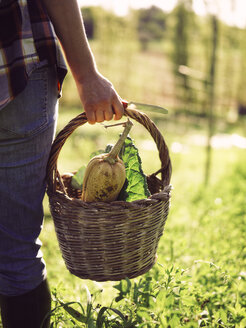 Woman carrying basket of harvested vegetables, partial view - RAMAF00042