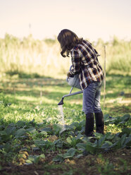 Frau bewässert Pflanzen auf einem Feld - RAMAF00051