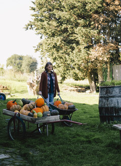 Woman with wheelbarrow of harvested pumpkins on a meadow - RAMAF00059