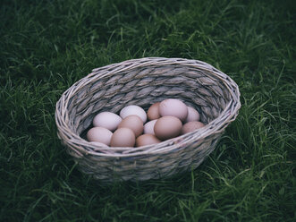 Basket of brown eggs on a meadow - RAMAF00069