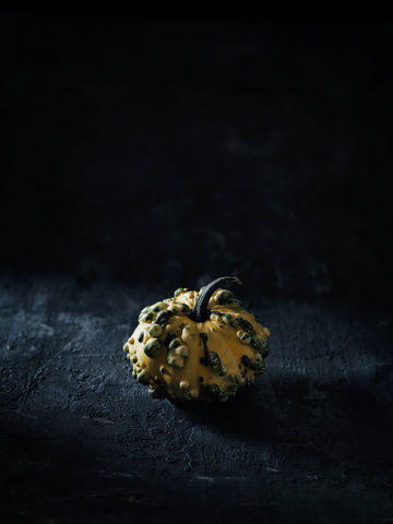 Winziger Zierkürbis vor dunklem Hintergrund, lizenzfreies Stockfoto