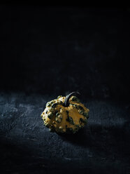 Winziger Zierkürbis vor dunklem Hintergrund - RAMAF00097
