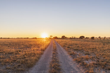 Botswana, Kalahari, Zentral Kalahari Wildschutzgebiet, Piste bei Sonnenaufgang - FOF10229