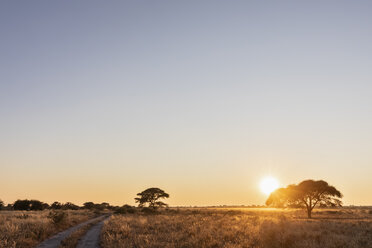 Afrika, Botsuana, Zentral Kalahari Wildschutzgebiet, Sandpiste bei Sonnenaufgang - FOF10231
