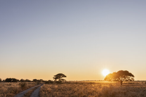 Africa, Botswana, Central Kalahari Game Reserve, sand track at sunrise - FOF10231