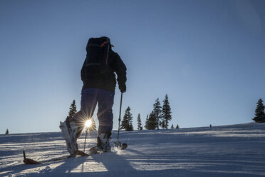 Skier skinning up in Romania after a snowy night - AURF02374