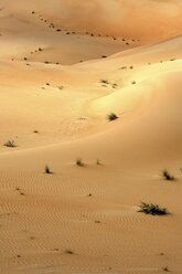 Sanddünen in der Wüste Empty Quarter im Emirat Abu Dhabi, Vereinigte Arabische Emirate - AURF02379