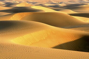 Sand dunes at the Empty Quarter desert in the Emirate of Abu Dhabi, United Arab Emirates - AURF02380