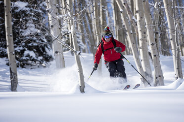 Man Skiing On Snowy Landscape Through An Aspen Grove - AURF02419