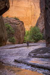 Man hiking in a beautiful canyon in the desert. - AURF02423