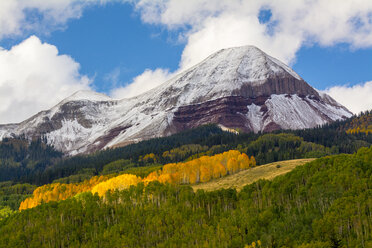 Fresh snow on Engineer Mountain, San Juan National Forest, Durango, Colorado. - AURF02438