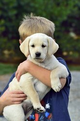 Close-up Of Young Boy Carrying Puppy - AURF02448