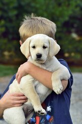 Nahaufnahme eines jungen Jungen, der ein Hündchen trägt - AURF02448