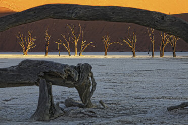 Dead trees, Deadvlei, Sossusvlei, Namib Naukluft Park, Namib Desert, Namibia, Africa - AURF02457